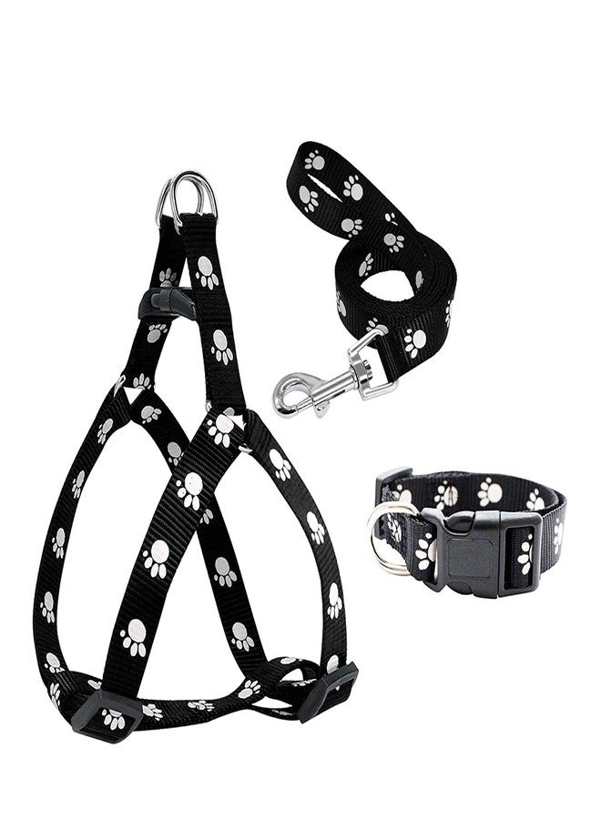 Pet Guard طوق ومقود للكلاب الصغيرة من بيت جارد، مزين بطبعة مخالب، لون أسود (قد يختلف اللون) - Image 2